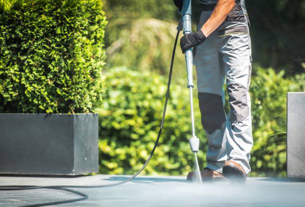 Best Roof Washing  in Covington, WA